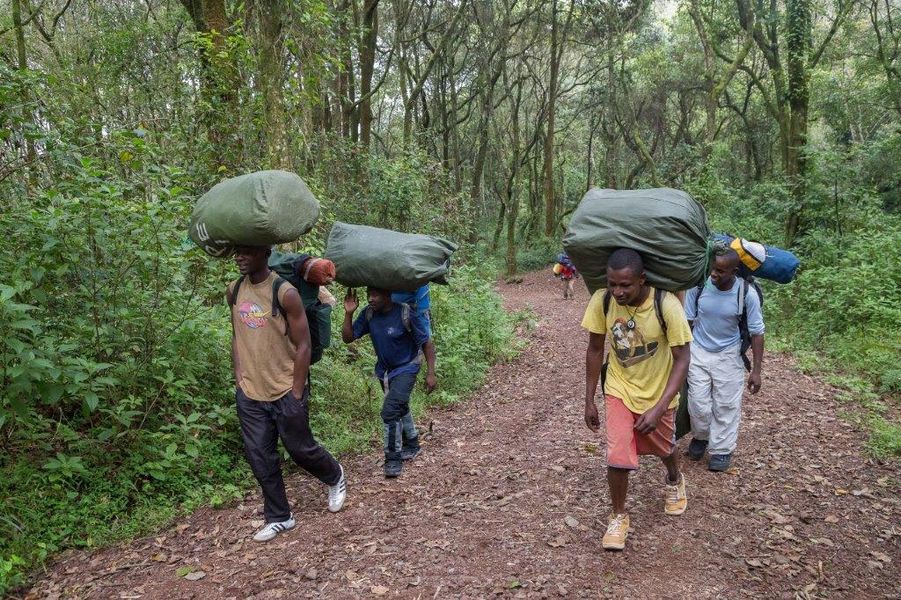 Moshi - Machame Camp (2.850m)