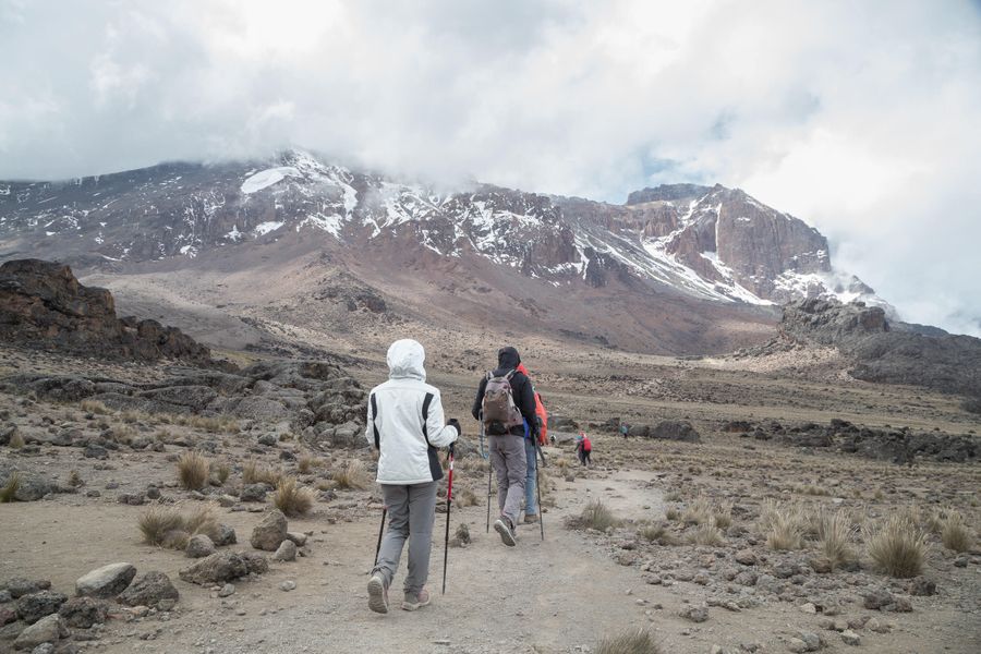 Machame Camp (2850m) - Shira Camp (3810m)