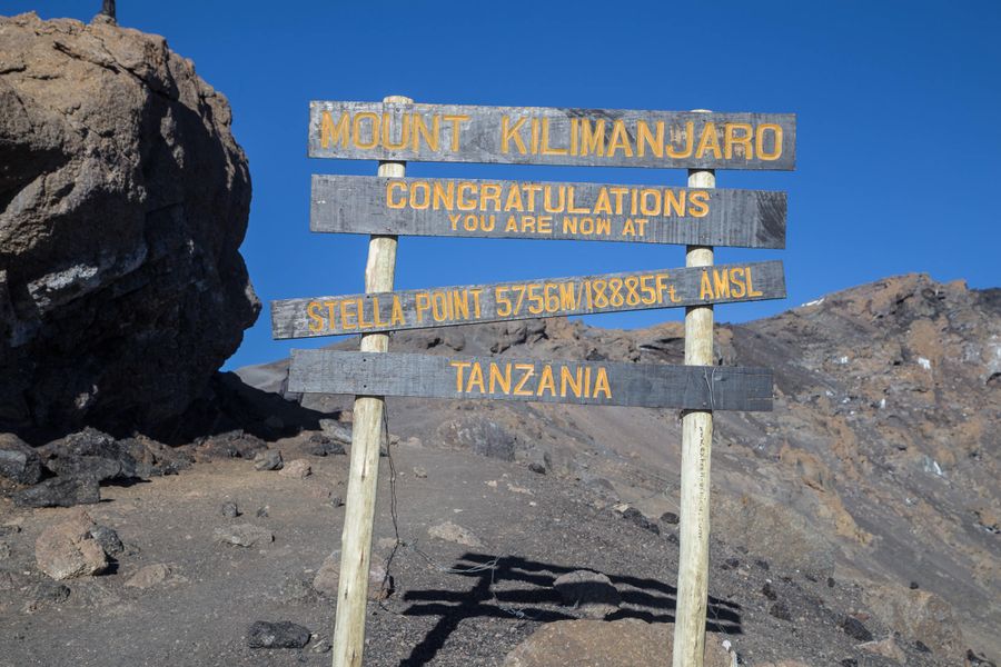 Mweka Camp (3080m) - Mweka Gate (1630m) - Moshi