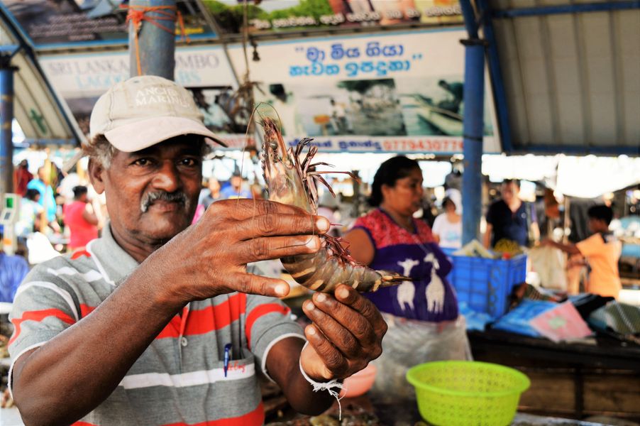 Negombo: aankomstdag
