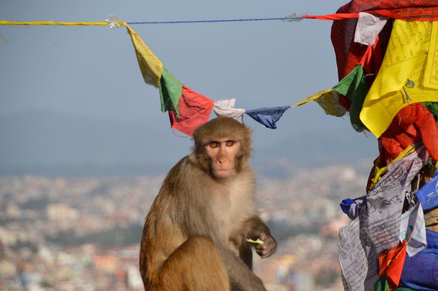 Kathmandu