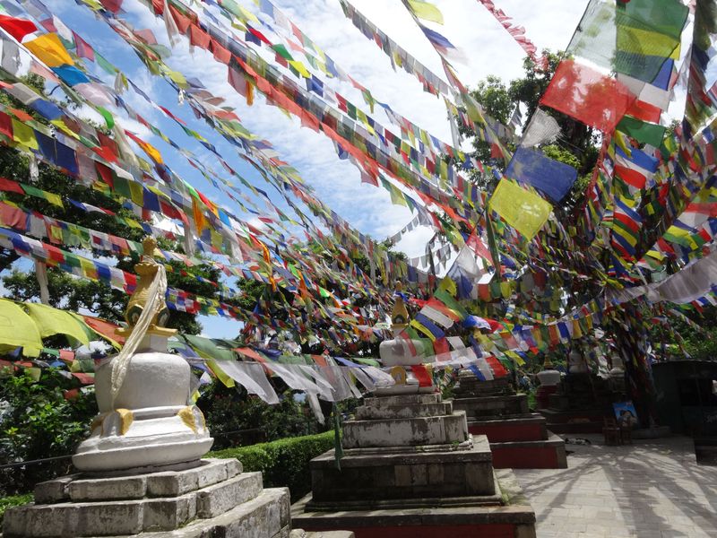 Kathmandu-vallei: Swayambunath & Patan