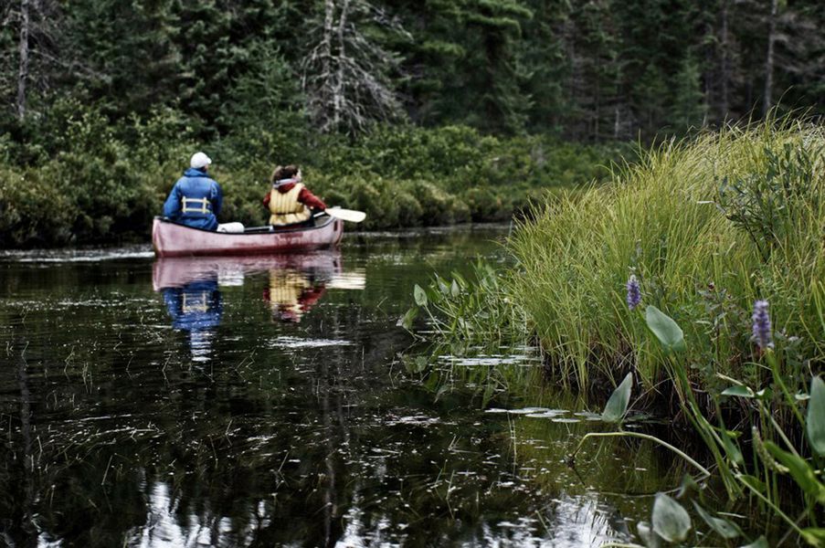 Optionele excursie: Kanotocht in Algonquin - Self guided